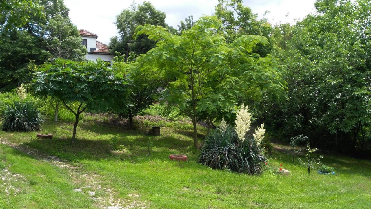 Guest House PETROVA Cherven  Extérieur photo