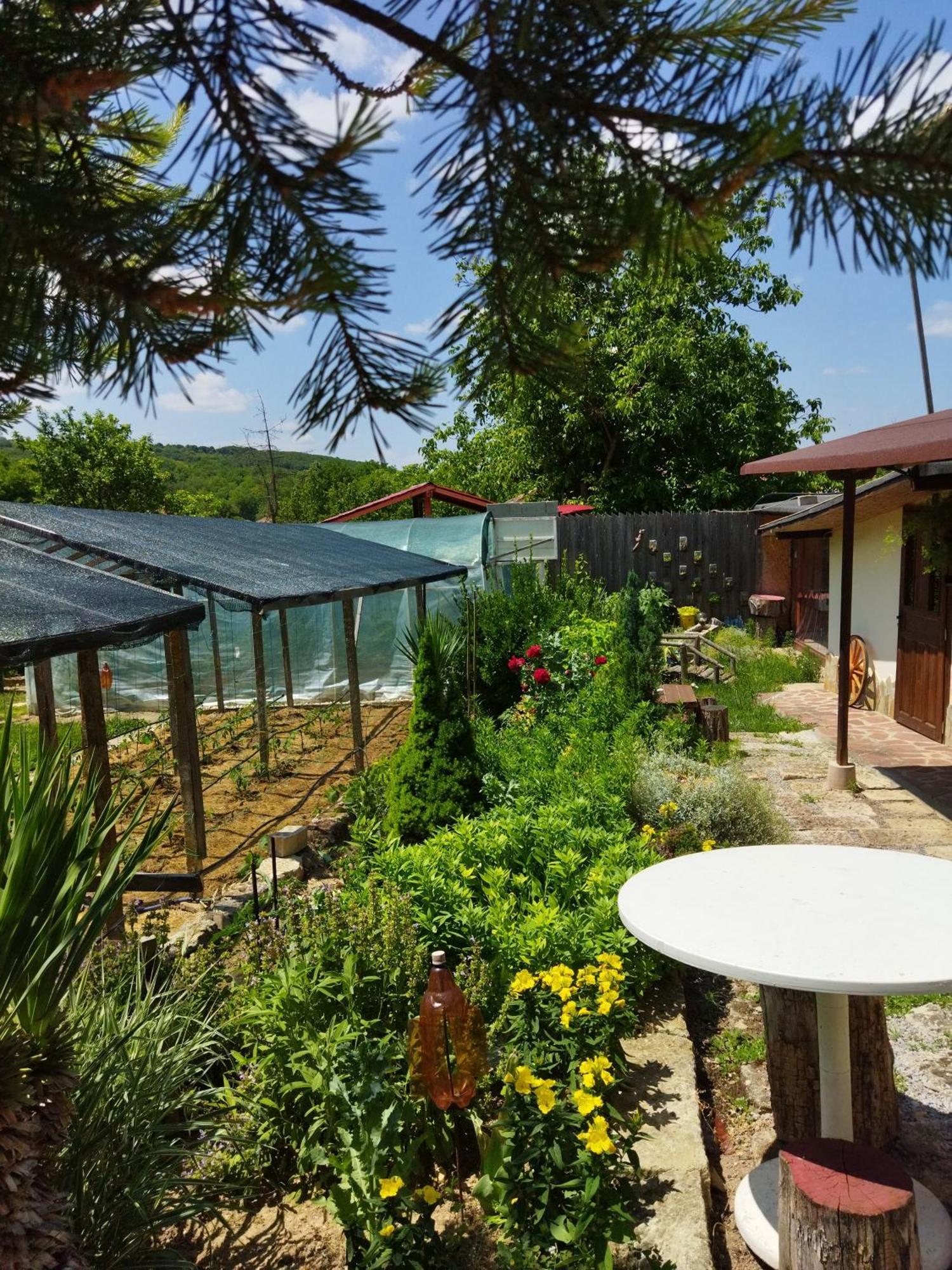 Guest House PETROVA Cherven  Extérieur photo