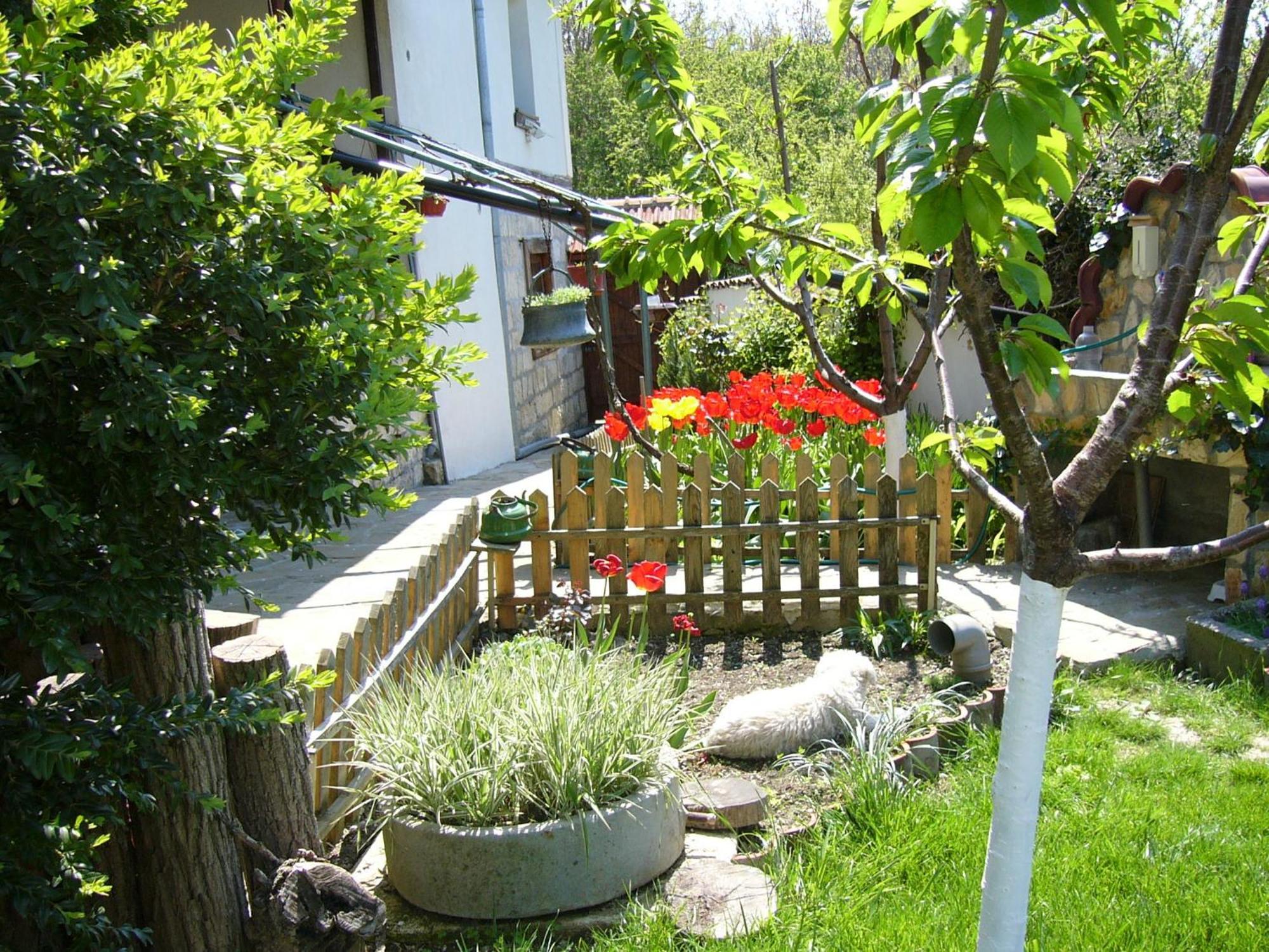 Guest House PETROVA Cherven  Extérieur photo