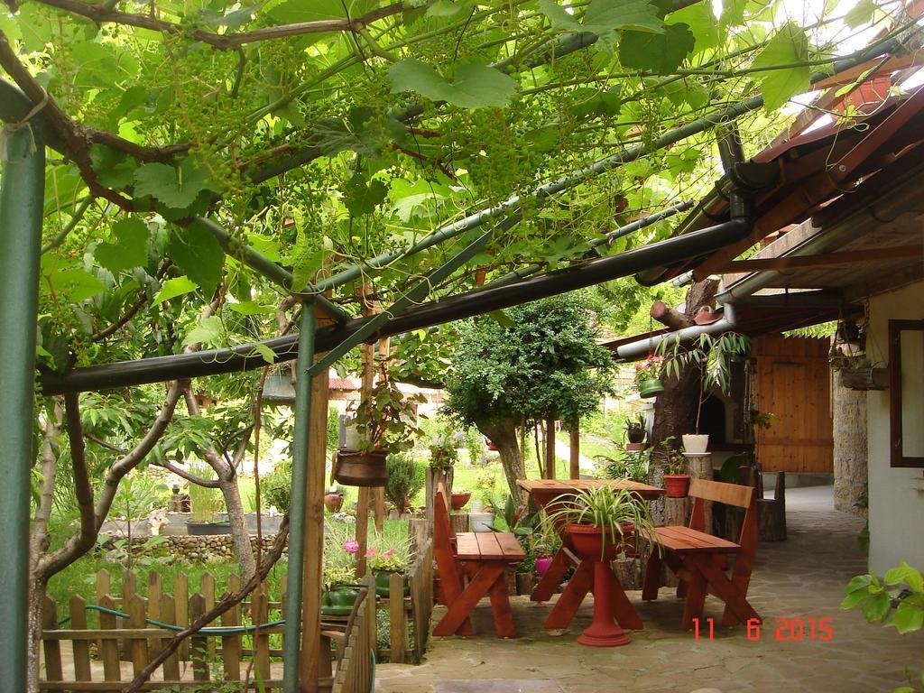 Guest House PETROVA Cherven  Extérieur photo